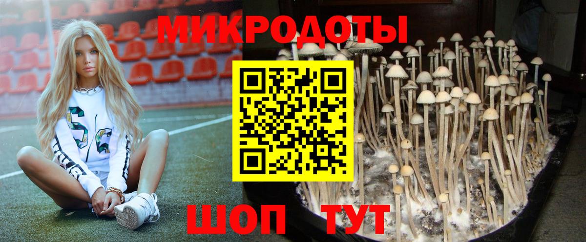 Галлюциногенные грибы ЛСД Златоуст